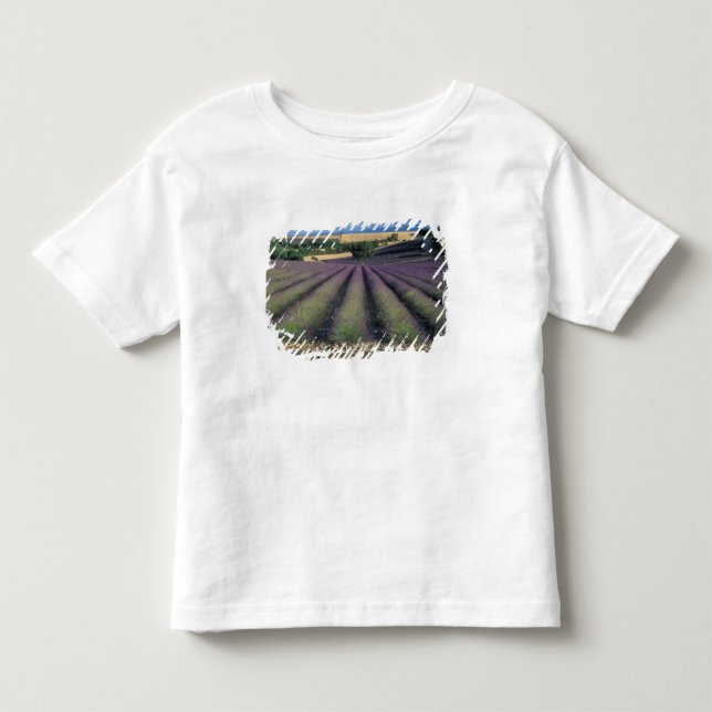 EU, Frankrike, Provence, Lavendelfält 2 T-shirt (Framsida)