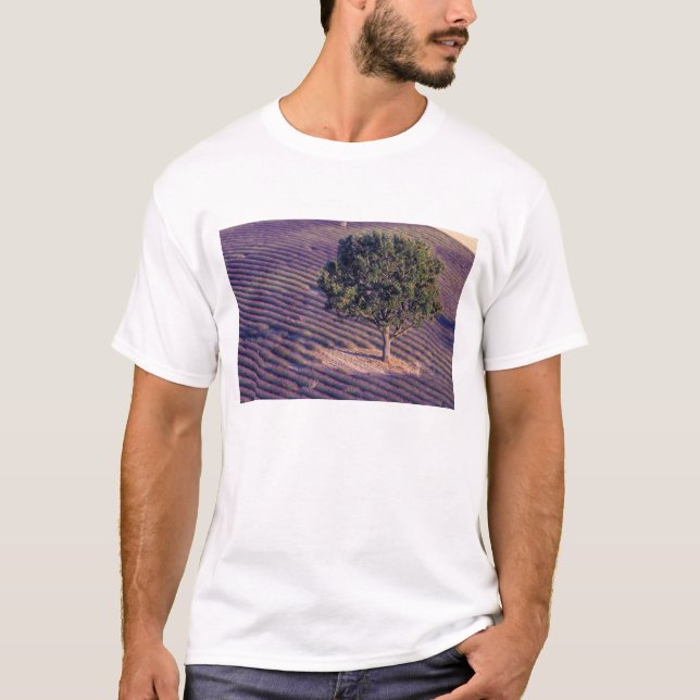 EU, Frankrike, Provence, Lavender fält T-shirt (Framsida)