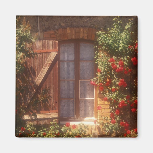 EU, Frankrike, Provence, Vaucluse, Apt. Hus 2 Magnet (Framsidan)