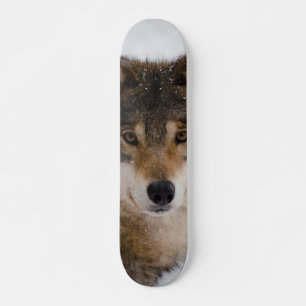 EU-grått-varg Mini Skateboard Bräda 18,5 Cm