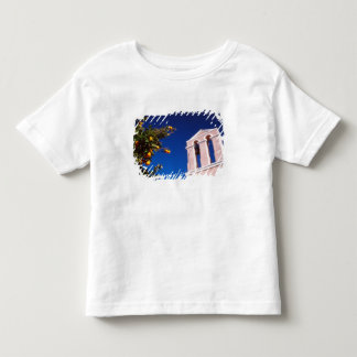 EU, Grekland. Grekisk-ortodoxa kyrkan Tee