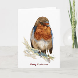 EU-Robin tittar julkort Kort