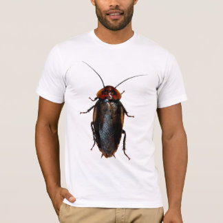 Eublaberus posticus (den orange Head kackerlackan) Tee