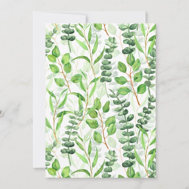 Eucalyptus (Framsida)