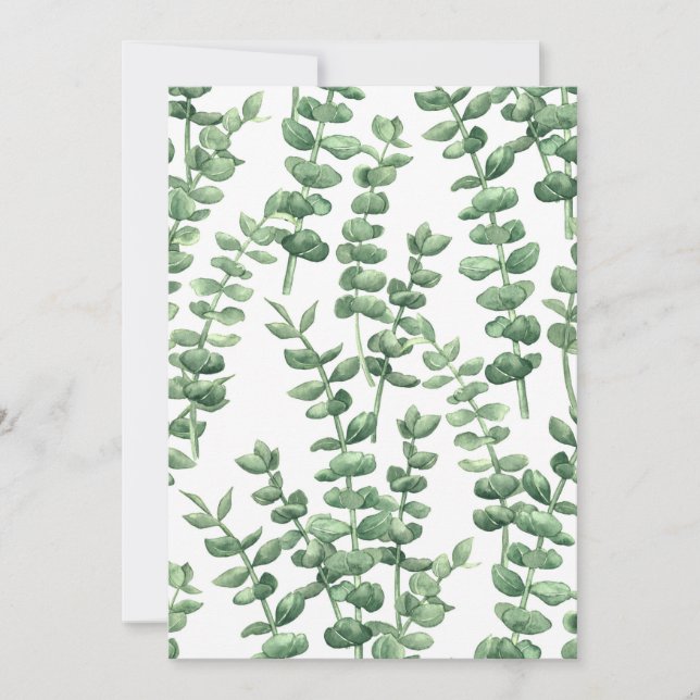 Eucalyptus 1 (Framsida)