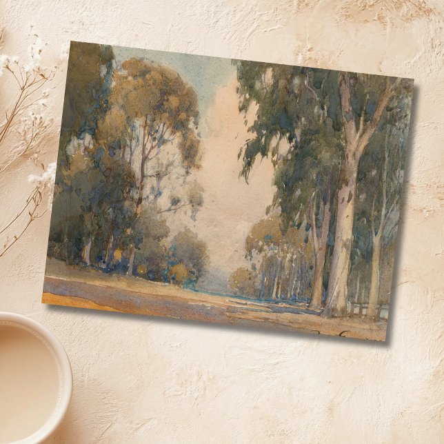 Eucalyptus (1922) – Ömtålig botanisk akvarell Vykort (Skapare uppladdad)