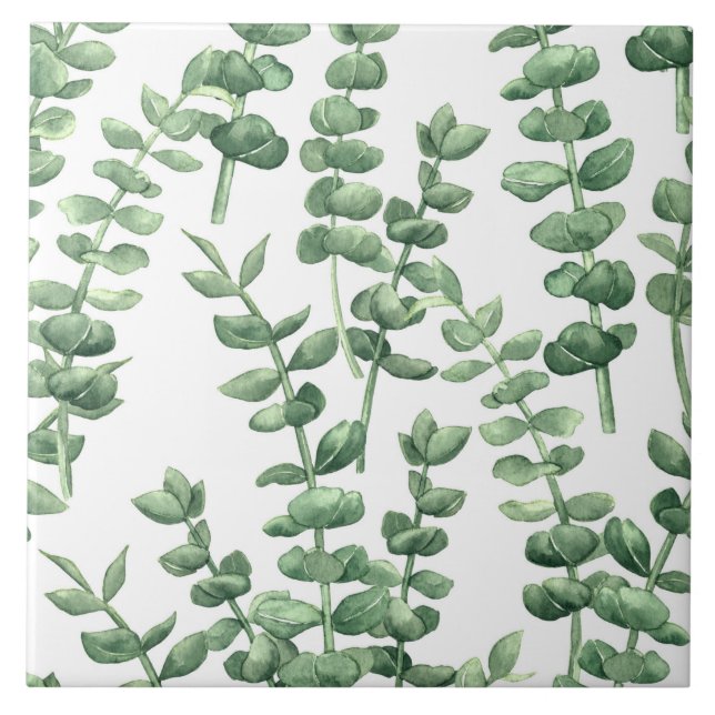 Eucalyptus 1 kakelplatta (Framsidan)