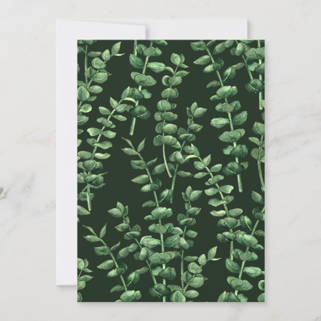 Eucalyptus 2 (Framsida)