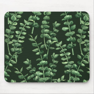Eucalyptus 2 musmatta