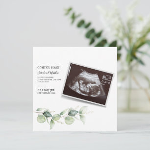 Eucalyptus Baby Reveal Botaniska Graviden Meddelande