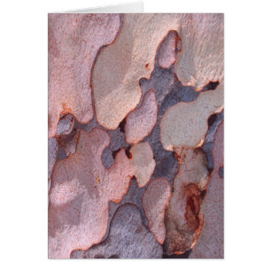 Eucalyptus Bark Hälsningskort