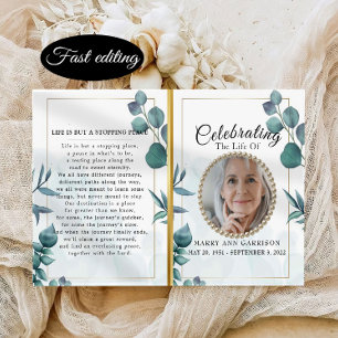 Eucalyptus Elegant Firande i Life-programmet