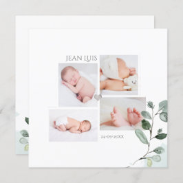 Eucalyptus Faire-part de Naissance Garçon Inbjudningar