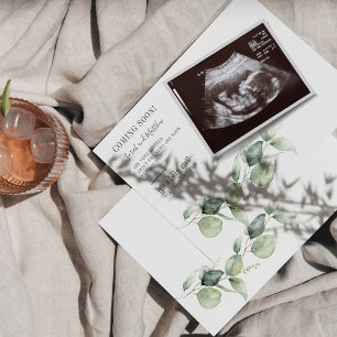 Eucalyptus Gravid New mamma Baby Gender Reveal