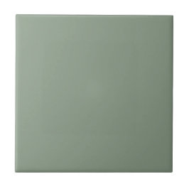 Eucalyptus Green | #8A9C88 Kakelplatta