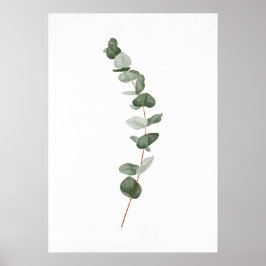 Eucalyptus Gren Poster