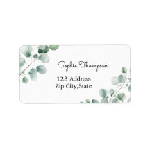 Eucalyptus grönt löv