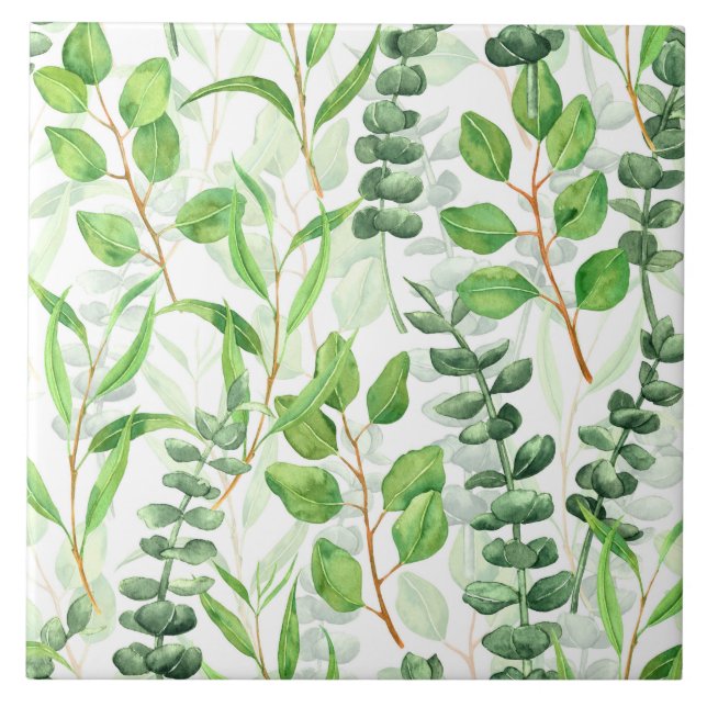 Eucalyptus Kakelplatta (Framsidan)