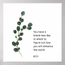 Eucalyptus Löv Chef Dam Motivational Quote Pos