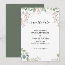 Eucalyptus Löv och blommor