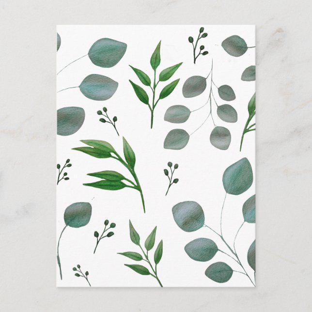 Eucalyptus löv vykort (Framsida)