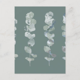 Eucalyptus Löv Vykort