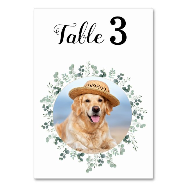 Eucalyptus Modern Elegant Photo Bröllop Bordsnummer (Framsidan)