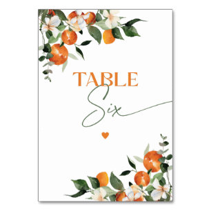 Eucalyptus orangar citrustema bordsnummer Sex