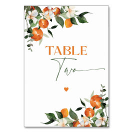 Eucalyptus orangar citrustema bordsnummer två