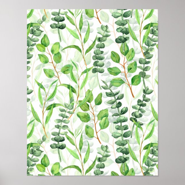 Eucalyptus Poster (Framsidan)