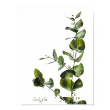 Eucalyptus Poster