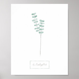 Eucalyptus poster