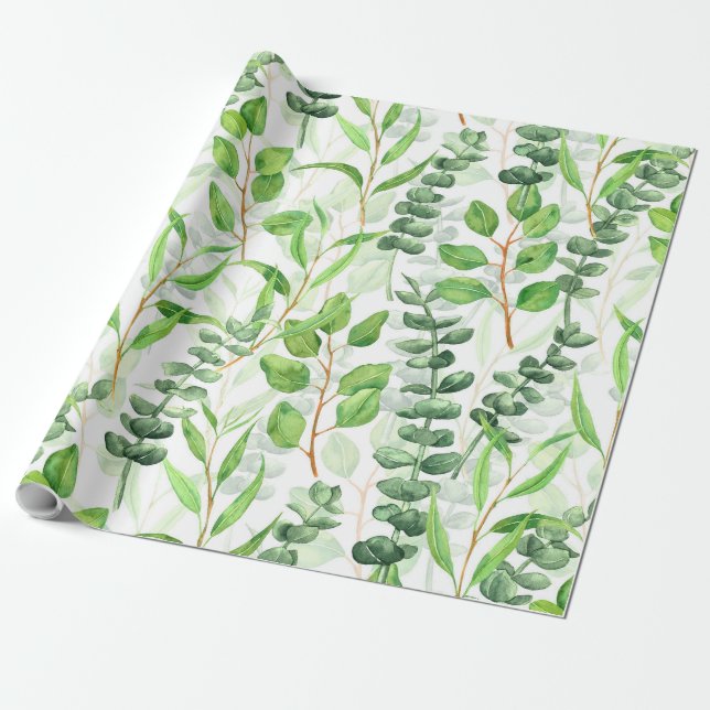 Eucalyptus Presentpapper (Utrullad)