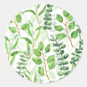 Eucalyptus Runt Klistermärke