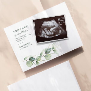 Eucalyptus Sonogram Gravid Announgation