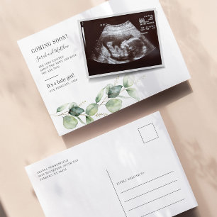Eucalyptus Succult Gravid Baby Reveal Meddelande Vykort
