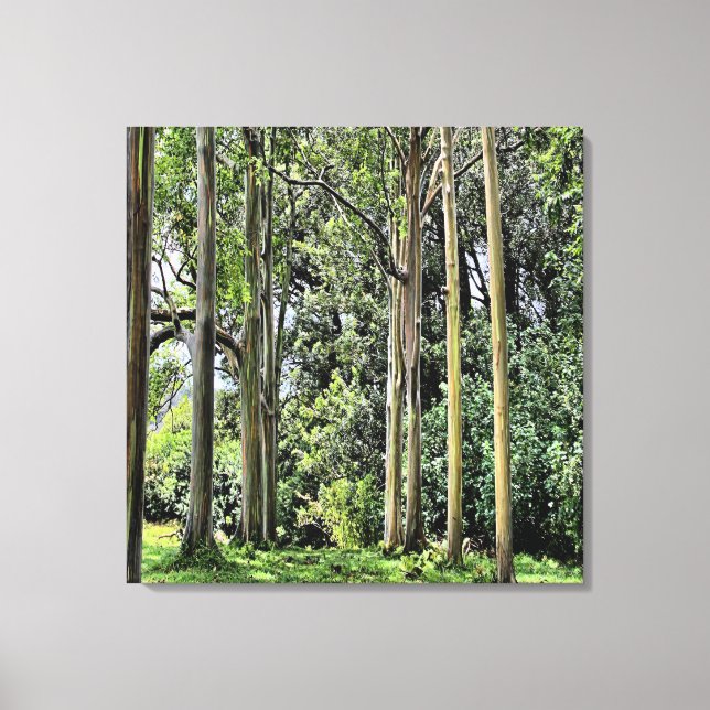 Eucalyptus Triple Canvas (Framsida)