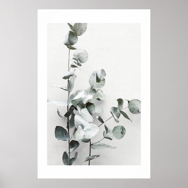 EUCALYPTUS TWIGS NO1, POSTER (Framsidan)