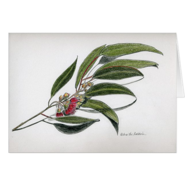Eucalyptuslöv Hälsningskort (Framsidan Horizontal)