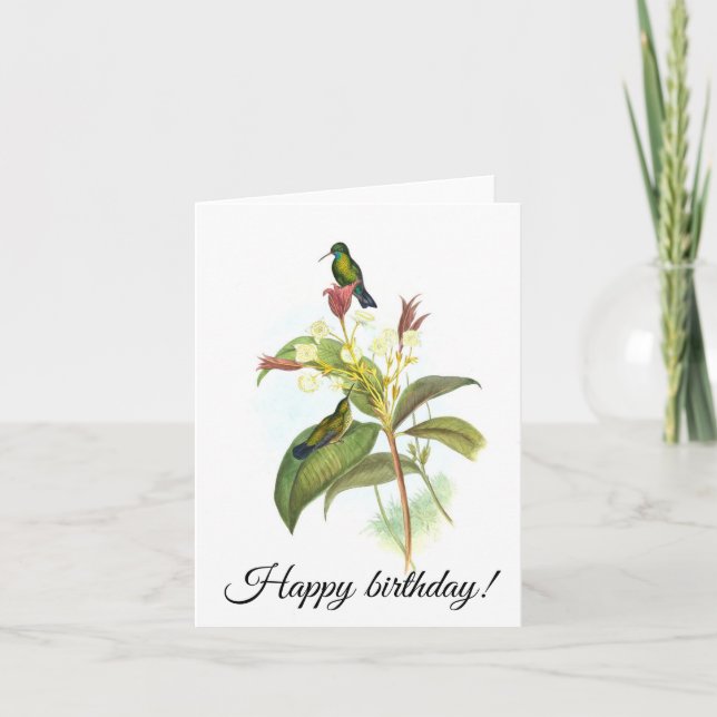 Eucephala caerulea (blåkantad safir) kort (Framsida)