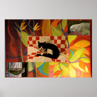 Euclids Dream Poster