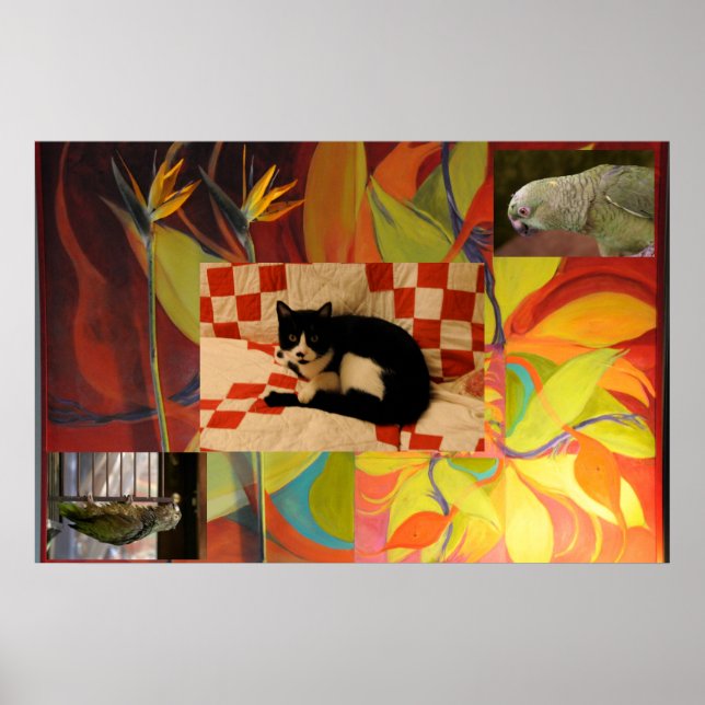 Euclids Dream Poster (Framsidan)