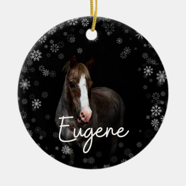 Eugene Ornament (Framsidan)