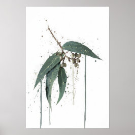 Eukalyptus (australiensisk) poster