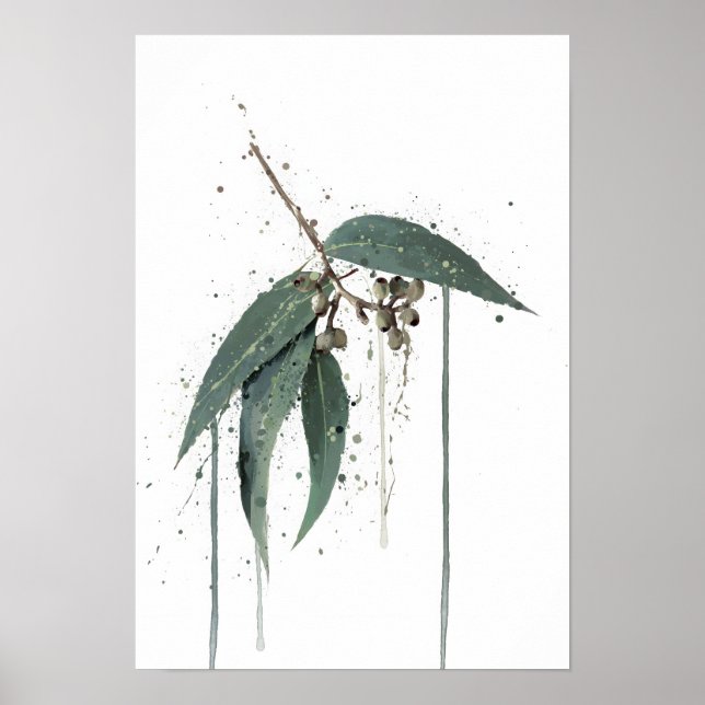 Eukalyptus (australiensisk) poster (Framsidan)