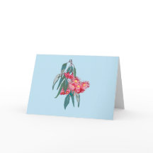 Eukalyptus (Corymbia ficifolia) på blått