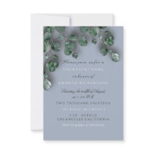 Eukalyptus Rökig Blå Grönska Skogsbygd Rustik