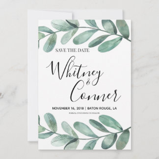 Eukalyptus Spara Datum Datumet