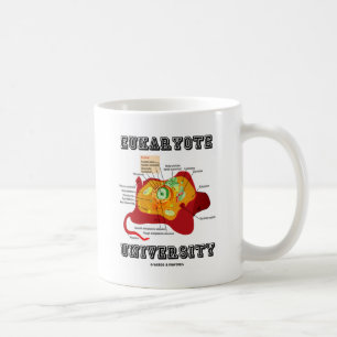 Eukaryote Universiteten Animal Cell Anatomy Kaffemugg