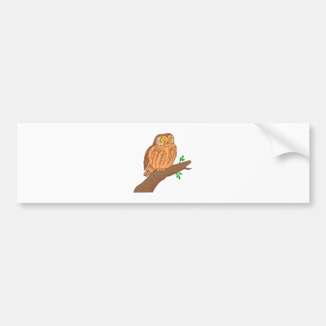 Eule Kauz Sägekauz Saw-whet owl Bildekal (Framsidan)